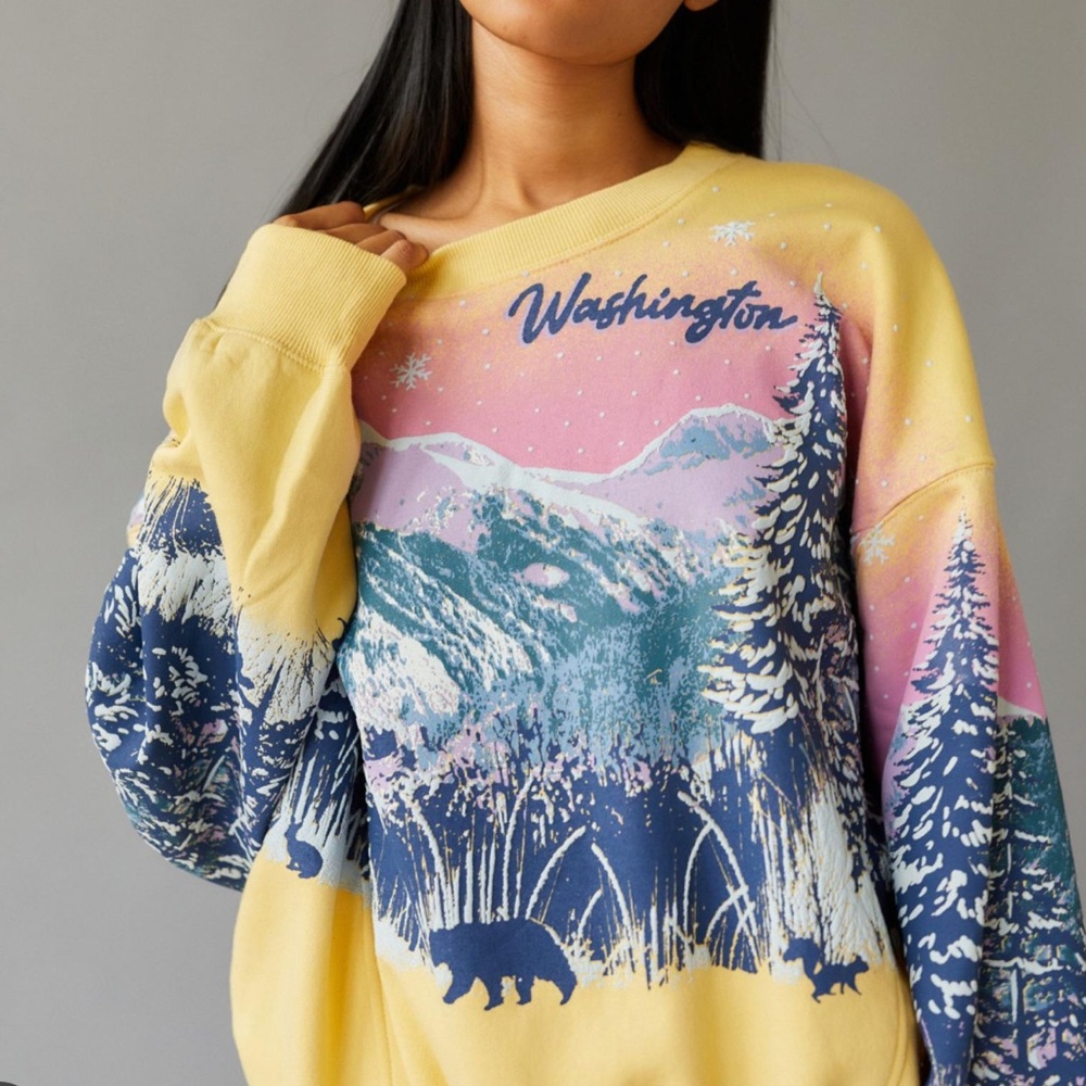 Urban Outfitters Washington Sweatshirt